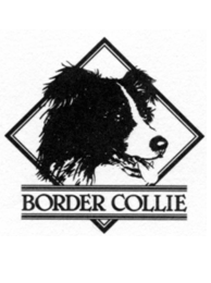 Border Collie Club Schweiz